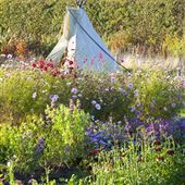 Blooming Green Flower Plot