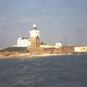Coquet Island