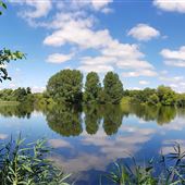 Langford Lakes Nature Reserve