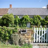 Forget-Me-Not Farm