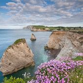 Freshwater Bay