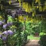 Barnsdale Gardens