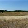 Greenham and Crookham Common