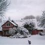 Joss Cottage