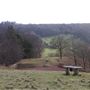 NT - Clent Hills