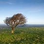 NT - Devils Dyke SDNP
