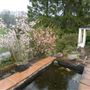 Brownhill House Garden