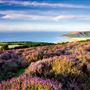 Exmoor National Park