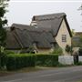 Willington Village