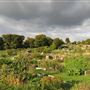 Chesham Town Council Allotments