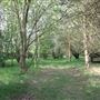 Stour Valley Community School - Grounds