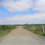 Palmer's Lane - Walberswick