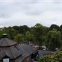River Bank (River Dee), Chester