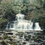 Cotter Force