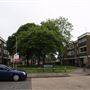 Grove Hill Residential Streets