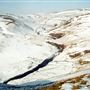 Cheviot Hills