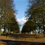 Redbourn Common