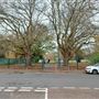 Residential Streets, Seymour Park