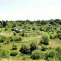 Monkton Nature Reserve
