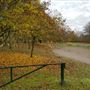 Bewl Water