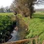The Hop Farm