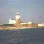 Coquet Island