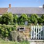 Forget-Me-Not Farm