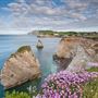 Freshwater Bay