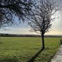 Thorndon Country Park South, Brentwood
