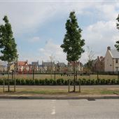 Fairfield Park
