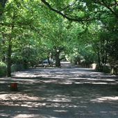 Apsley & Wavendon Woods