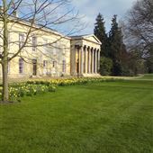 Downing College (Cambridge College)