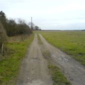 Chippenham Fen