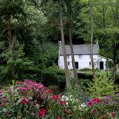 Trelissick Garden