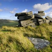 Rough Tor