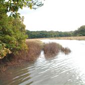 Forestry England Sites, Isle of Wight