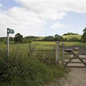 Little Wittenham
