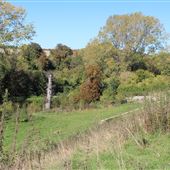 Letcombe Valley Nature Reserve