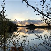 Savills - Caversham & Sonning