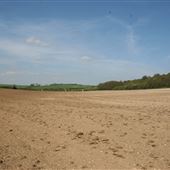 Stopsley Common