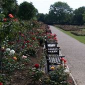 Chalkwell Park