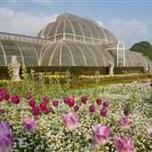 Kew Gardens