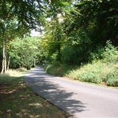 FE - Wendover Wood