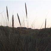 Caister on Sea Beach