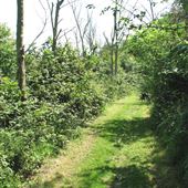 Boudica's Way