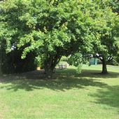 Vicarage Road open space