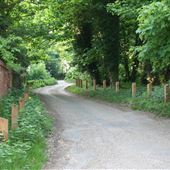 Brook Hall Woods