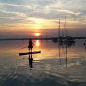 The New Forest Paddle Sport Company