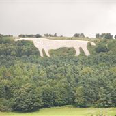 The White Horse