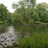 Thornton-Le-Dale Stream & Lake